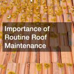 Importance of Routine Roof Maintenance