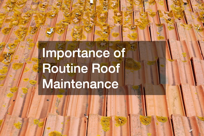 Importance of Routine Roof Maintenance