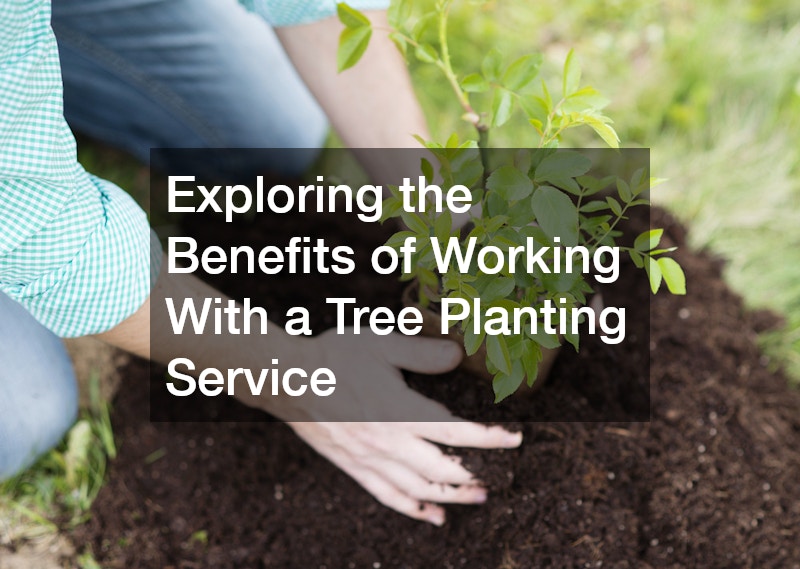 Exploring the Benefits of Working With a Tree Planting Service